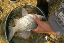 遛鱼只会硬顶？学会3个控鱼技巧，再大的鱼也乖乖就范！