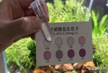 鱼缸亚硝酸盐超标可以换一半的水吗？这样做，快速降亚盐不伤鱼
