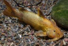 线组灵敏度的核心！不只在调漂，这4个环节都至关重要！