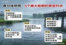 春分连阴雨别瞎钓！5个大板鲫黄金钓点，找到直接连杆爆护