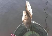 跑铅钓法并非越重越好！这3个细节是关键，专治流水滑鱼！