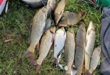 浮漂调钓的5个误区！新手总踩坑，难怪提竿总是空空的