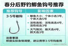春分后野钓鲫鱼，钩号选错全白忙！一篇说透，新手也能选对不空军
