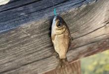 真有“新手光环”吗？揭秘背后3个真相，老手都忽略了！