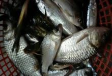 8字环的正确用法！这3个细节做到位，线组强度提升30%！