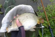 线组到底要多精细？这3个标准，让你不再纠结粗细线！