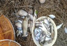 硬竿软竿怎么选？弄懂这4大区别，搏大物溜小鱼都轻松！