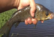 找鱼窝的3个黄金指标！满足其中2个，下竿就能连杆爆护！