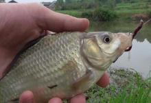 主线子线搭配的黄金法则！记住这1个公式，告别切线跑鱼！