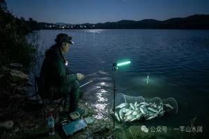 掌握这7个核心技巧，黄辣丁连竿爆护不是梦！