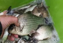 别再迷信大师调漂法！这套“公式化”调法，新手也能学会！