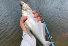 细线搏大鱼的5个核心技巧！小钩细线也能轻松上巨物！