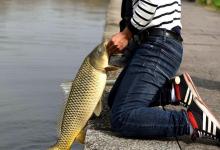 钓鱼也要有耐心！出现这3种情况，说明大鱼就在窝子边！