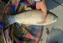 钓鱼先识天气！掌握这4种爆护天气规律，出钓时机一选一个准！