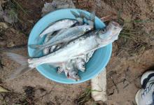 水库作钓的6大核心技巧！掌握这些，才能征服水中的巨物