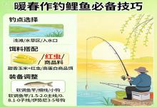 暖春钓鲤鱼必看！5个核心技巧，轻松连杆爆护不空军