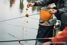 那些黑坑钓鱼大师提前打窝的方法