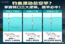 钓鱼漂动总空竿？吃透顿口3大逻辑，提竿必中不跑鱼