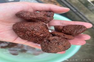 养鱼别乱买滤材！火山石到底是不是“培菌神器”？