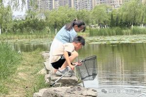 河边捞的鱼虾蟹，千万别直接放鱼缸，很多鱼友都中招了