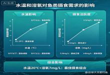 别再瞎开饵！水温和溶氧，才是决定鱼吃不吃口的关键