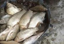 立夏后，野河这3种缓流千万别钓！换个地方，鱼护直接爆满（新手秒变高手）！