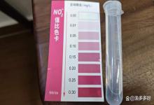 你家鱼缸亚硝酸盐超标了吗？80% 的人都不知道自己在 “毒鱼”