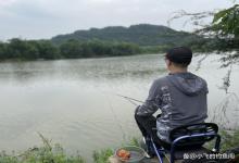 野钓鲤鱼最常用的3套线组，十斤以下基本无忧