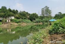 夏季钓鱼有“三勤”，喜欢钓大鱼的要格外注意