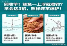 别急收竿！鲫鱼一上浮就停口？老钓友私藏3招，照样连竿爆护
