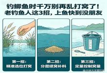 钓鲫鱼别再乱打窝了！老钓鱼人私藏3招，上鱼快到没朋友