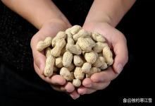 夏季钓草鱼不用找鱼道！一把花生搞定，专钓大草鱼不闹小鱼！