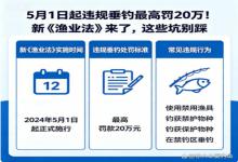 违规垂钓最高罚20万！新《渔业法》实施，这些坑千万别踩