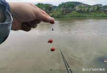 3号主线该配几号子线？一旦配错，不是跑鱼就是丢漂！