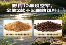 野钓12年从没空军，全靠这2款不起眼饵料，新手照搬也能稳上鱼