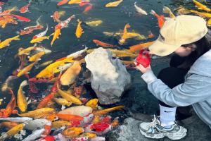 养鱼喂食别瞎喂！遵守这5条，鱼很少生病、寿命更长