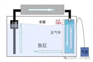 高密度养锦鲤，反气举该不该装？看懂结构再决定