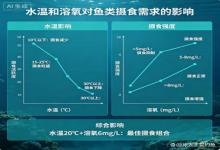 别瞎开饵！水温和溶氧才是鱼开口的关键，90%钓友都忽略了