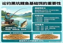 别瞎折腾了！钓黑坑鲤鱼，基础饵才是连竿关键，90%钓友都搞错了
