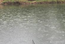 下雨天好钓鱼，可你为什么空军？其实这几种雨天鱼口反而更差