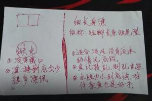 5张浮漂详细手绘图，让你读懂浮漂精髓！
