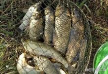 同样野钓，凭什么别人连杆你空军？就因为这3种钓法你没用对！