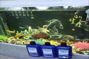 鱼缸净水剂是智商税？为啥污水厂能用，家里鱼缸却不能用？