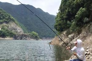 夏季高温，这样钓鲢鳙鱼事半功倍，刚下钩就中鱼