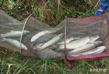 双铅钓详解：防风防杂鱼，又不失灵敏度，野钓必学