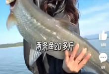 700万钓鱼主播疑“泥鳅钓”被抓包，删视频沉默应对，能不了了之吗？