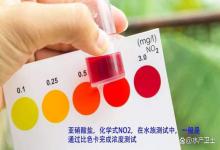 鱼缸加盐亚硝酸盐会增高吗？鱼缸中亚硝酸盐含量超标怎么办？