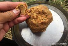 钓3个小时后再闻闻自己的饵料，你就知道为什么鱼不吃了！