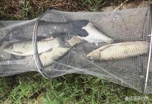 野钓必杀技：4个走钓绝技，特殊鱼情用非常钓法