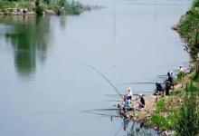 夏季钓鱼别再瞎转悠了！认准这3个地方，下竿就有鱼
